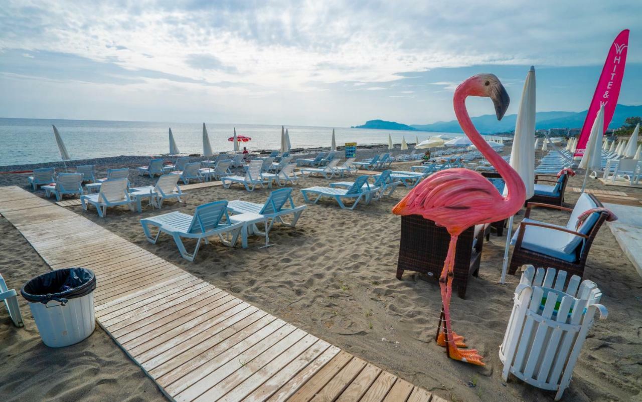 Campus Hill Hotel Alanya Ngoại thất bức ảnh